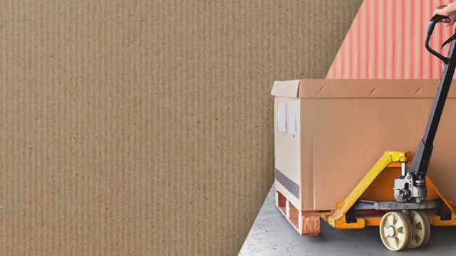 SUWAS Hydraulic Hand Pallet Truck 2500Kg. Load Capacity | Nylon Wheels | 195mm Lifting Height | 1150Fork Length